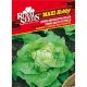Salata Nansen Maxi Royal Seeds
