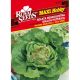 Salata Majska Kraljica Maxi Royal Seeds