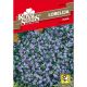 Lobelija Plava Royal Seeds