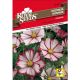 Kozmeja Mix Royal Seeds